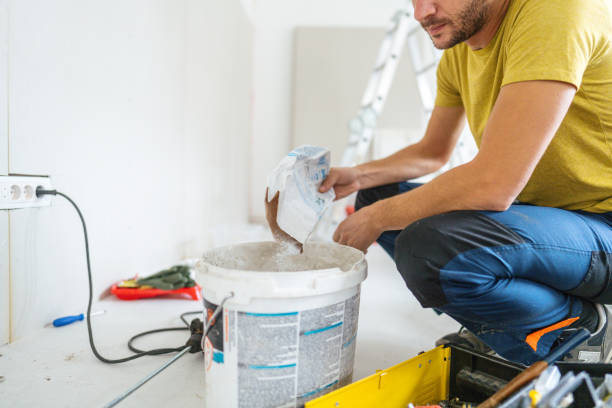Professional Mold Removal in Quartz Hill, CA